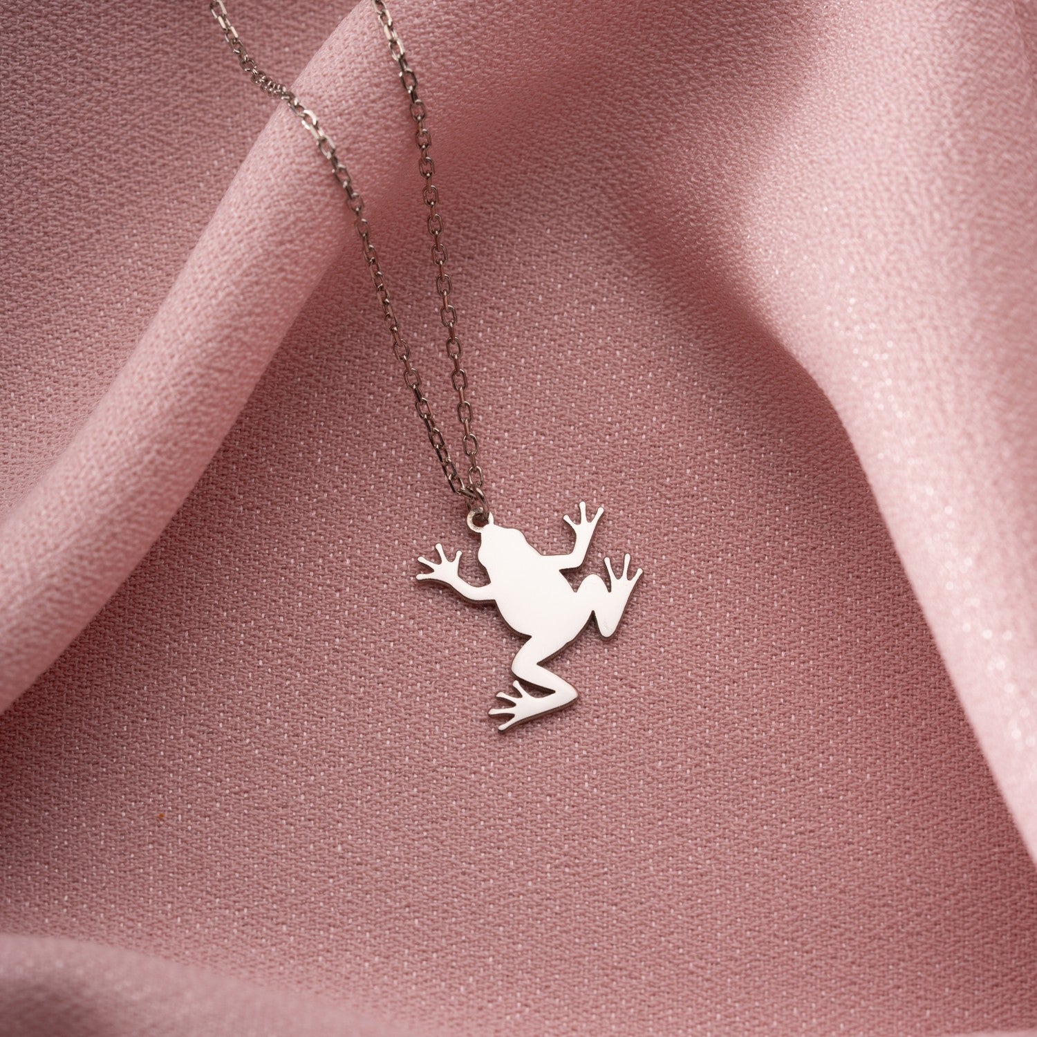 Frog Necklace | Good Luck & New Beginnings Gift