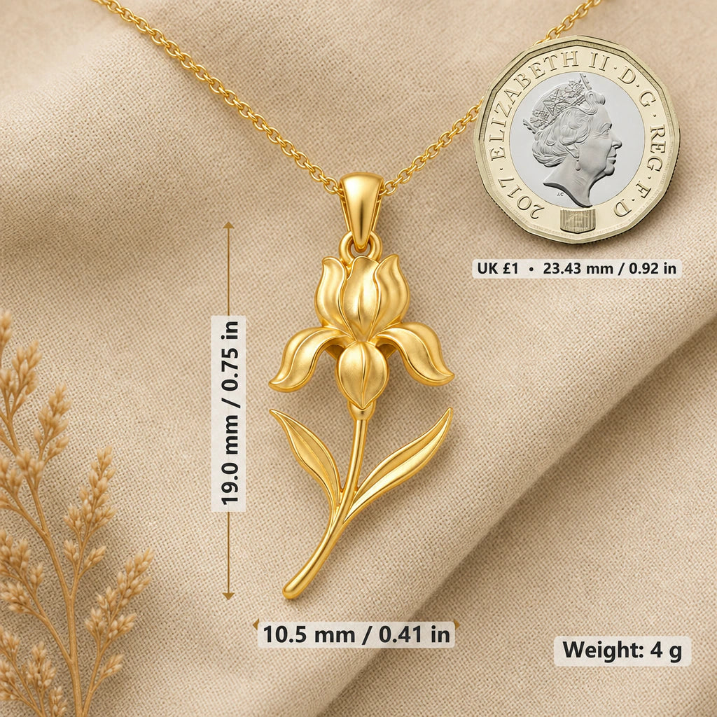 Iris necklace size image showing 19 mm height, 10.5 mm width and 4 g weight beside a UK pound coin