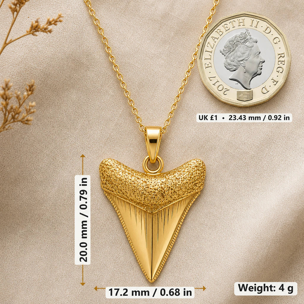 Megalodon tooth necklace size image showing 20 mm height, 17.2 mm width and 4 g weight beside a UK pound coin