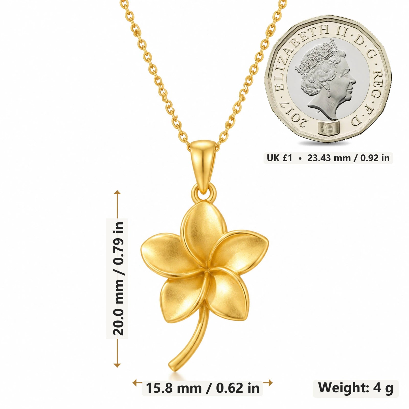 Plumeria Flower pendant necklace size image showing 20 mm height and 15.8 mm width and 4 g weight