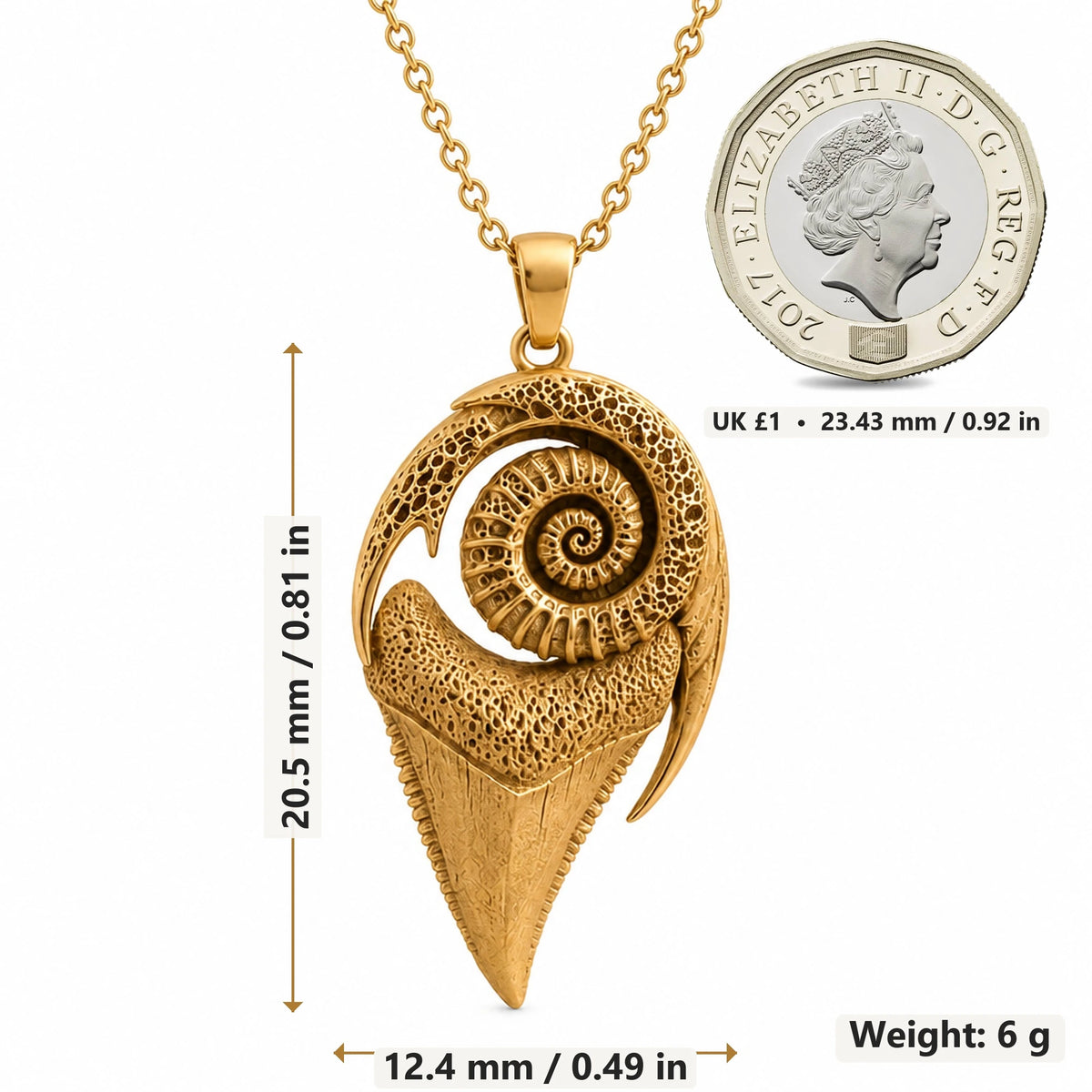 Sacred Shark Tooth Fossil pendant necklace size image showing 20.5 mm height, 12.4 mm width and 6 g weight