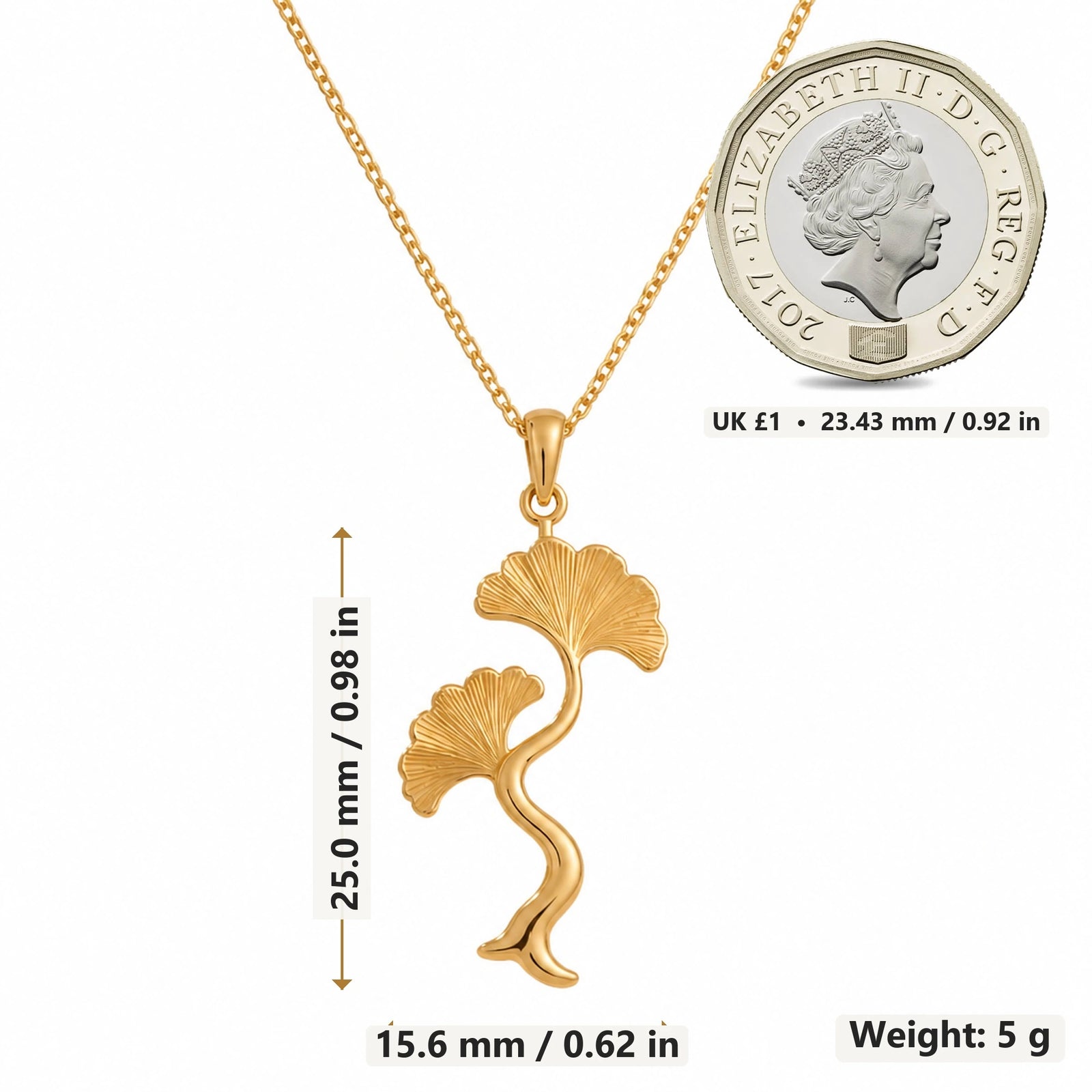 Ginkgo Wave Stem pendant necklace size image showing 25.0 mm height, 15.6 mm width and 5 g weight