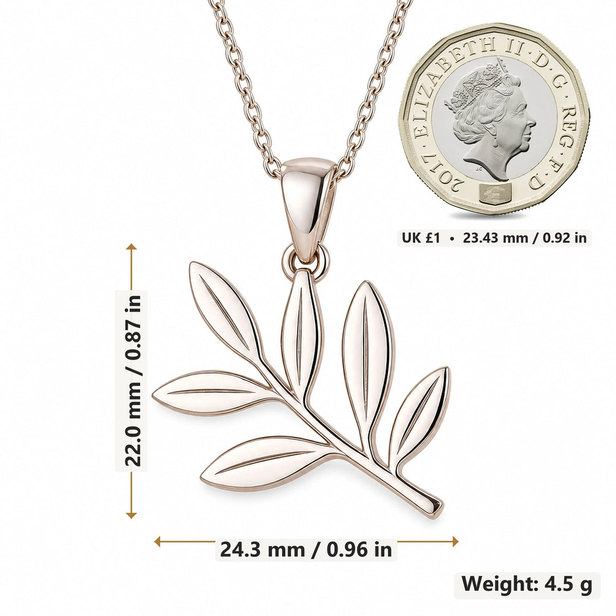 Olive Branch pendant necklace size image showing 22.0 mm height, 24.3 mm width and 4.5 g weight