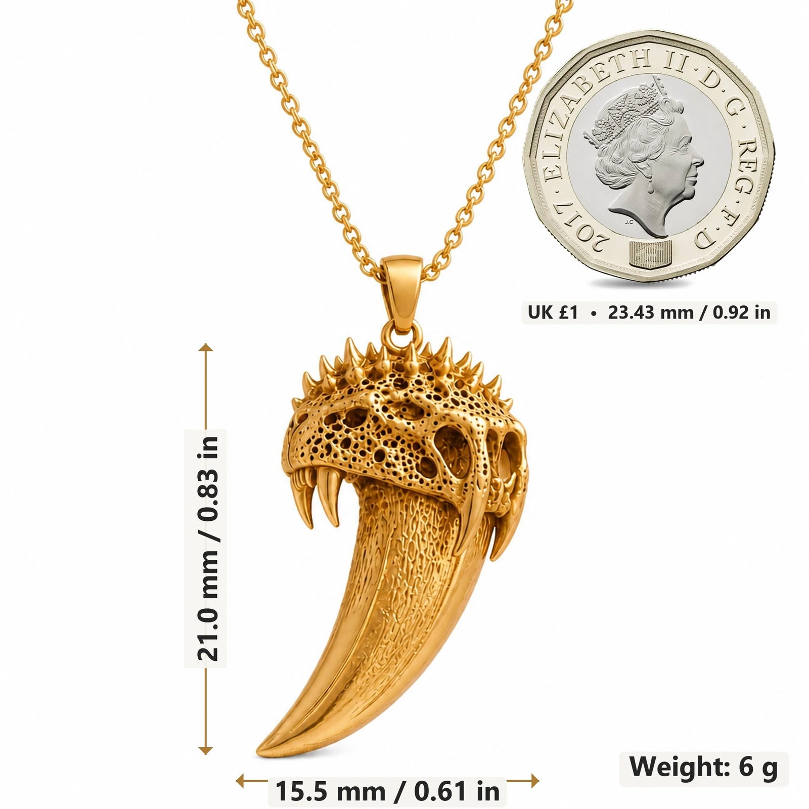 Ancient Sabre Tooth Fang pendant necklace size image showing 21.0 mm height, 15.5 mm width and 6 g weight