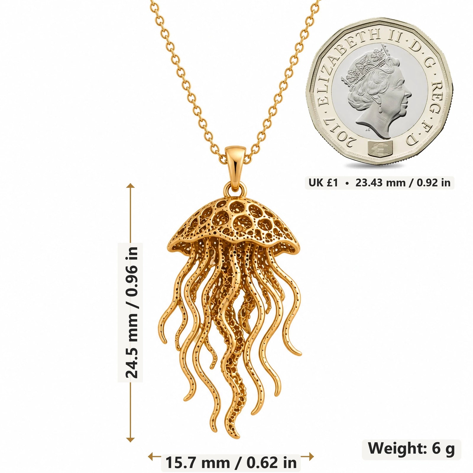 Fossil Jellyfish Halo pendant necklace size image showing 24.5 mm height, 15.7 mm width and 6 g weight