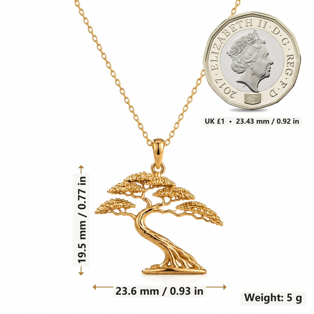Acacia Wind Bonsai pendant necklace size image showing 19.5 mm height, 23.6 mm width and 5 g weight