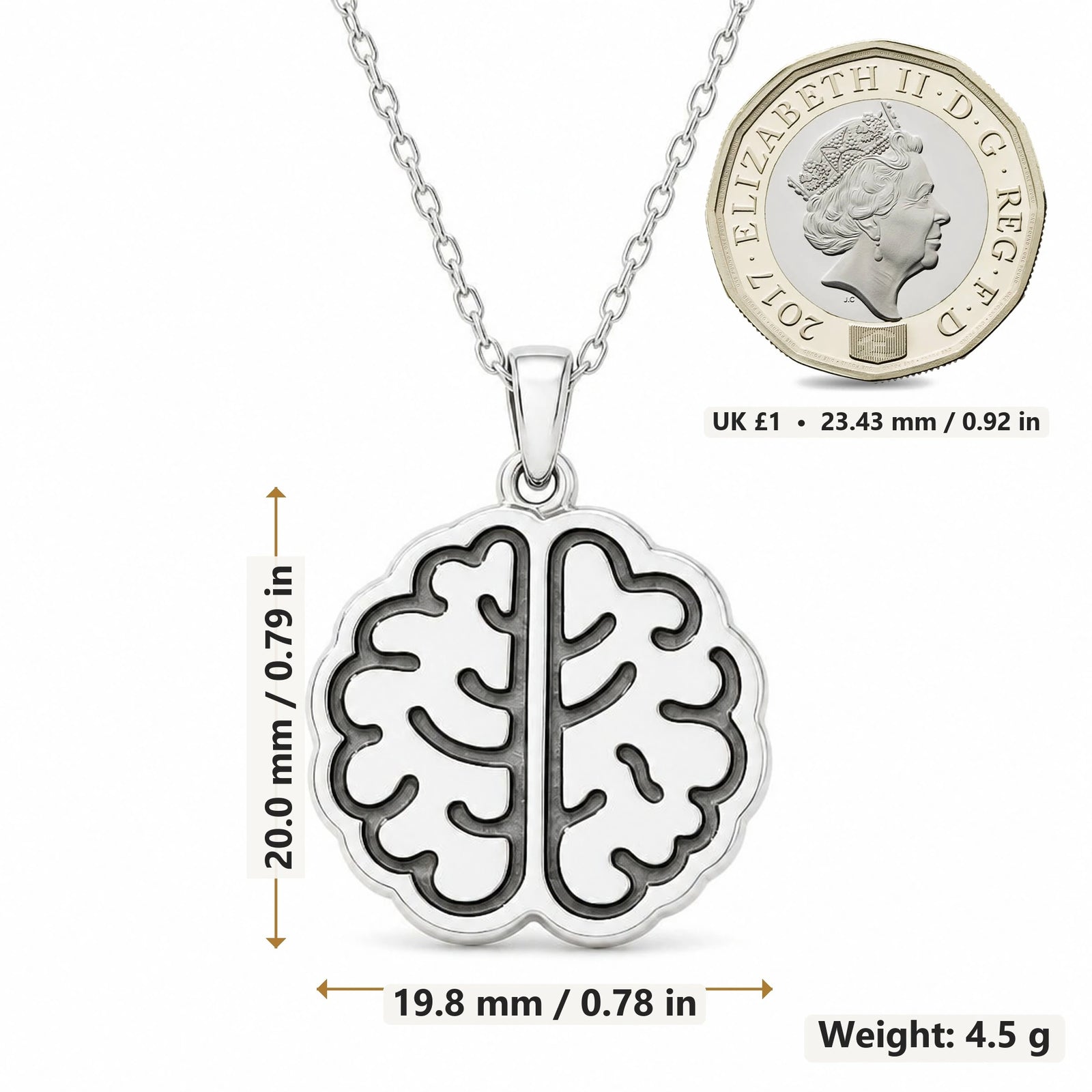 Brain pendant necklace size image showing 20.0 mm height, 19.8 mm width and 4.5 g weight