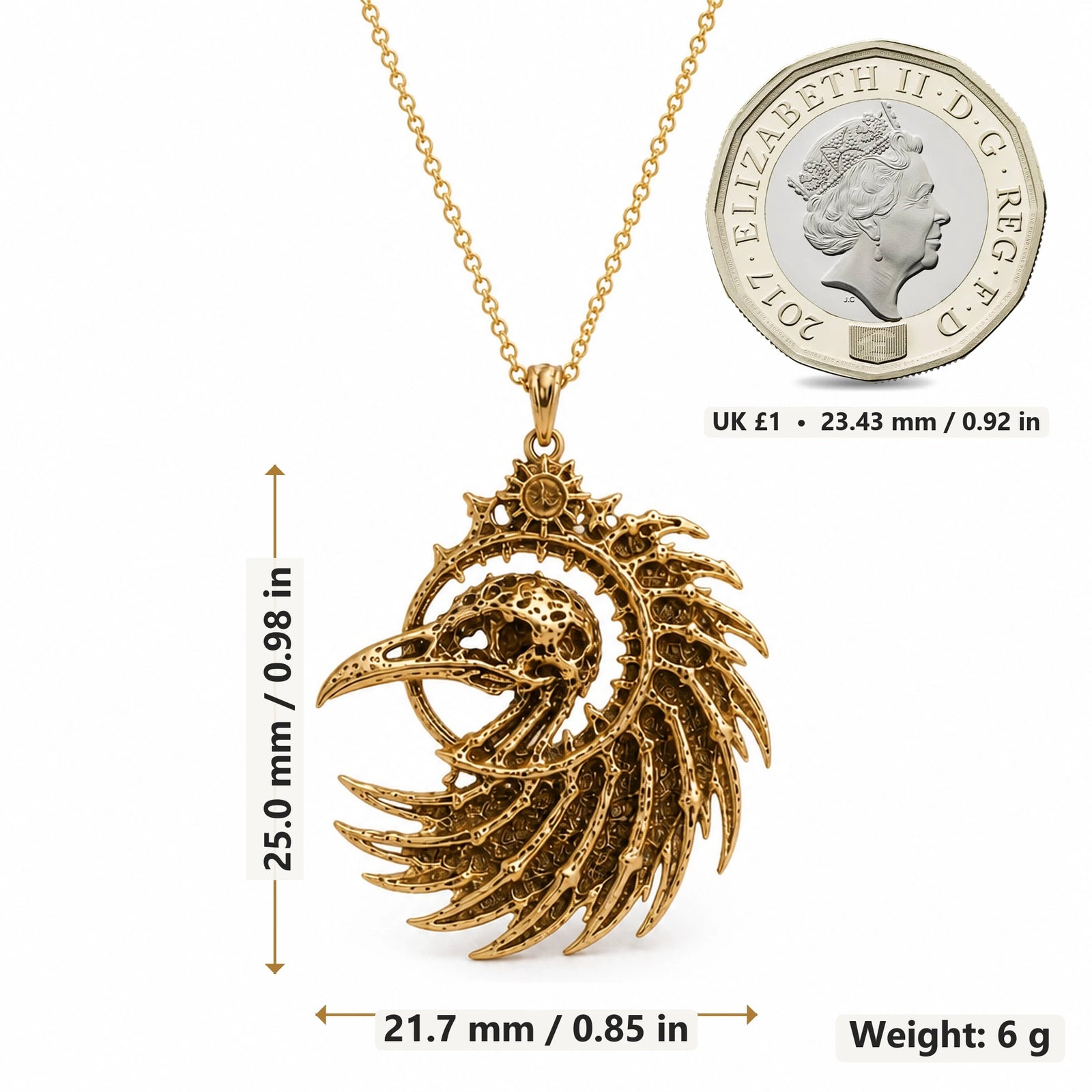 Fossil Raven Crest pendant necklace size image showing 25.0 mm height, 21.7 mm width and 6 g weight