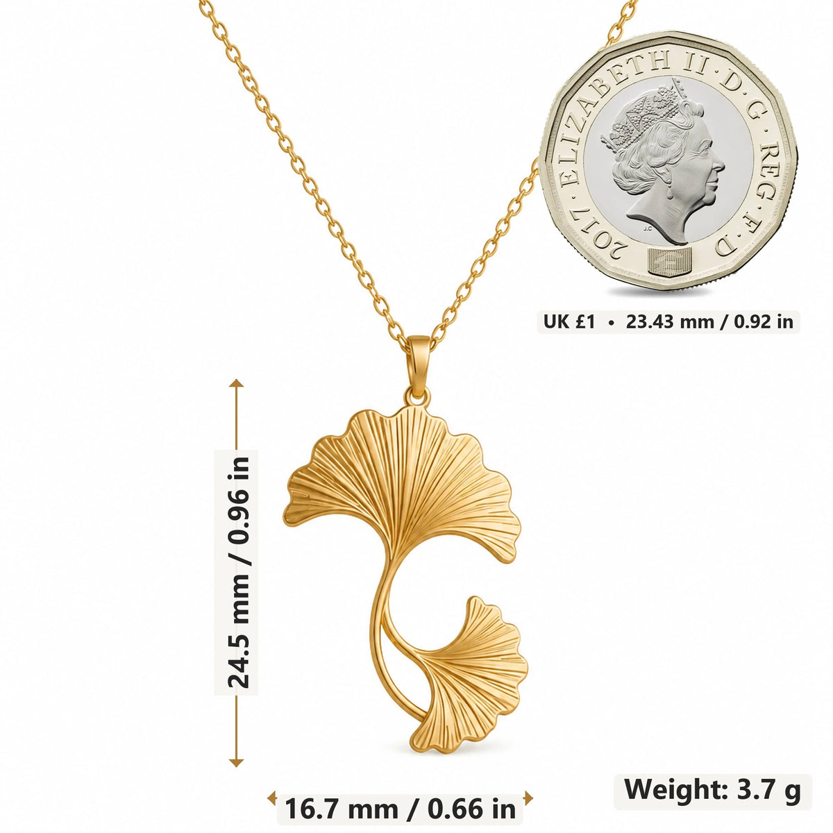 Ginkgo Fan Leaves pendant necklace size image showing 24.5 mm height, 16.7 mm width and 3.7 g weight