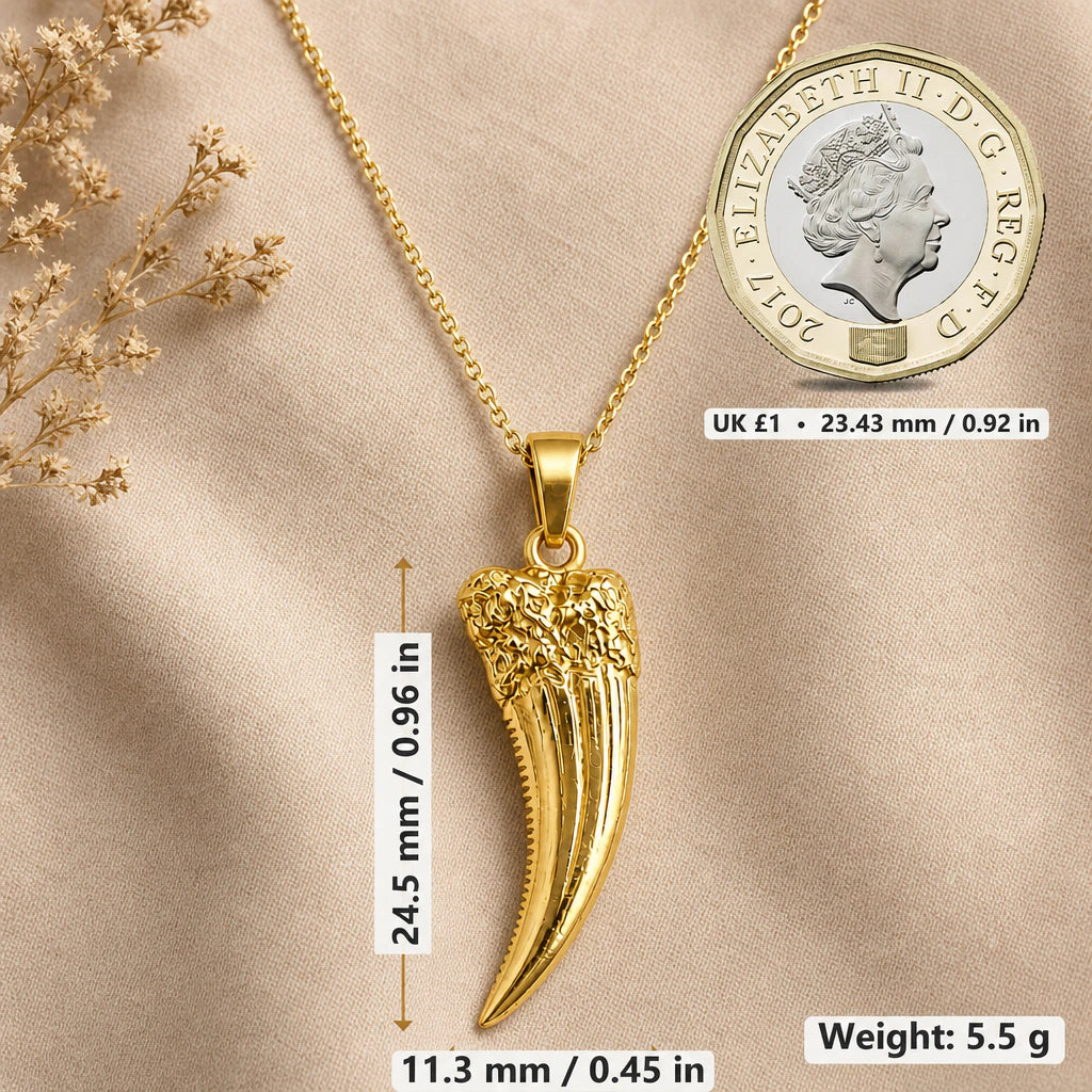Sabre tooth fang necklace size image showing 24.5 mm height, 11.3 mm width and 5.5 g weight beside a UK pound coin