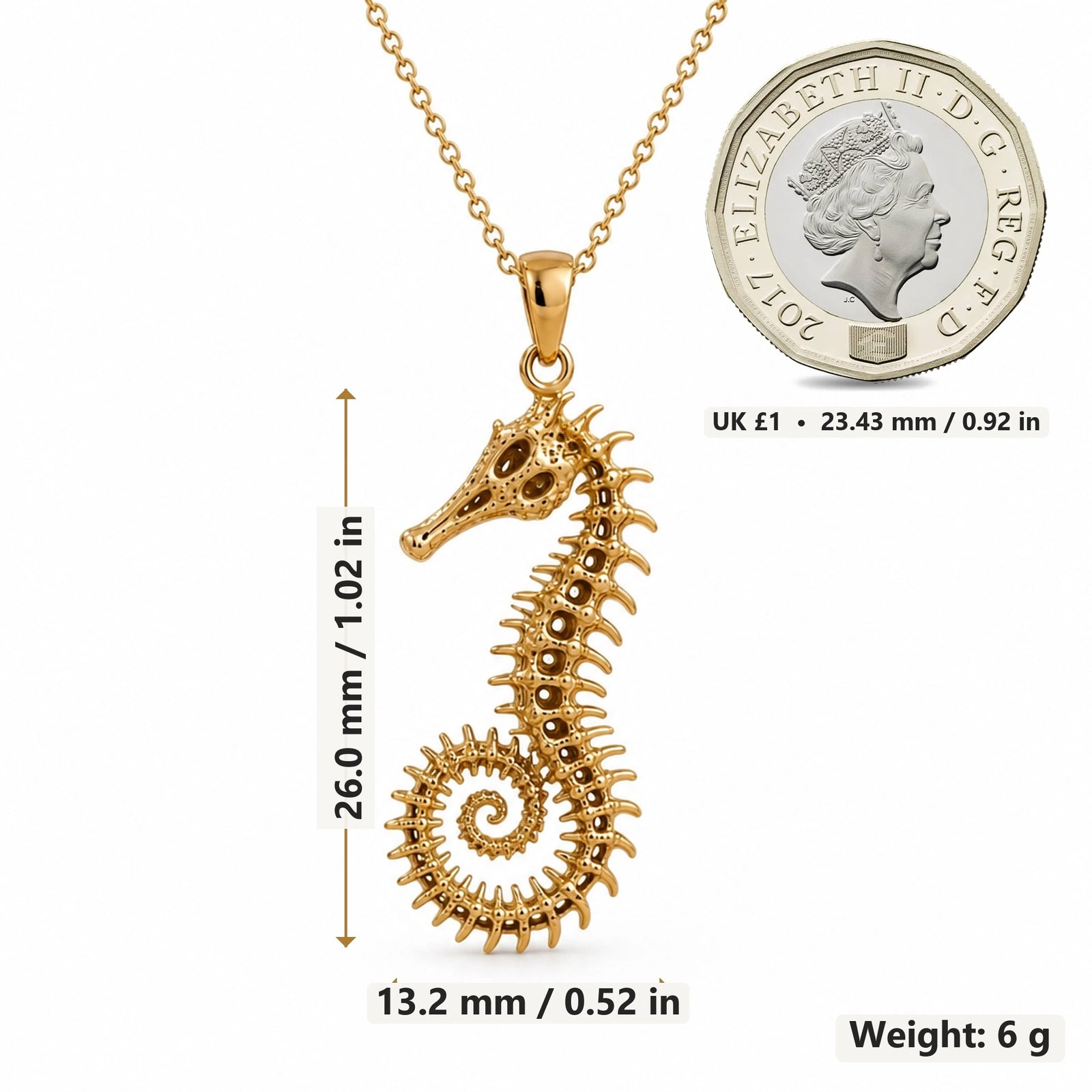Fossil Seahorse Spine pendant necklace size image showing 26.0 mm height, 13.2 mm width and 6 g weight