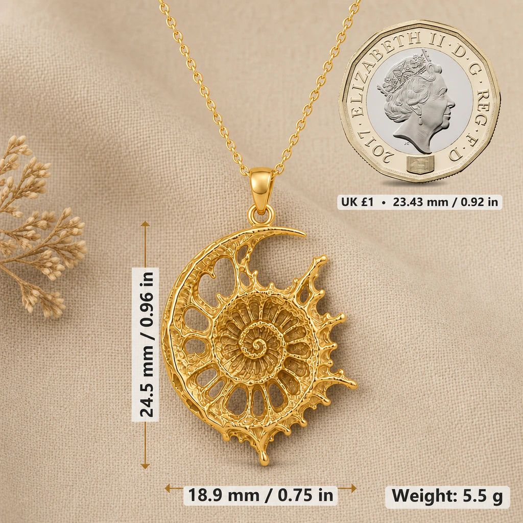 Celestial Ammonite Fossil Pendant Necklace size guide, 24.5 by 18.9 mm