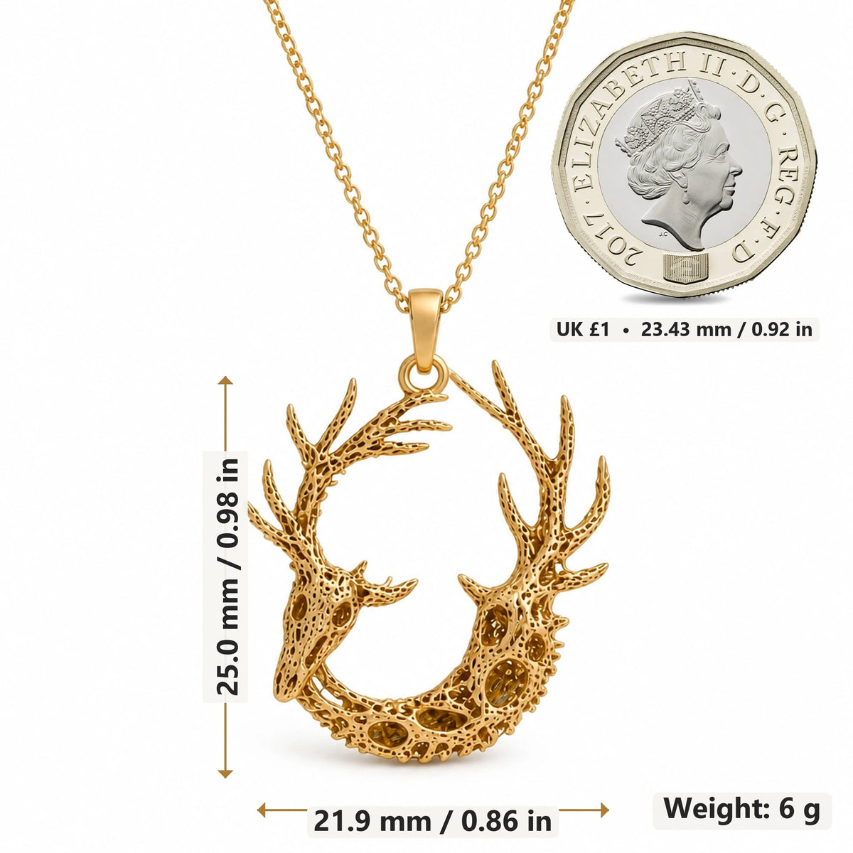 Fossil Deer Antler Ring pendant necklace size image showing 25.0 mm height, 21.9 mm width and 6 g weight