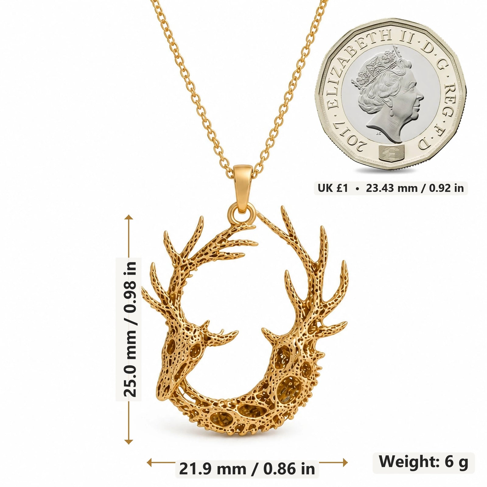 Fossil Deer Antler Ring pendant necklace size image showing 25.0 mm height, 21.9 mm width and 6 g weight