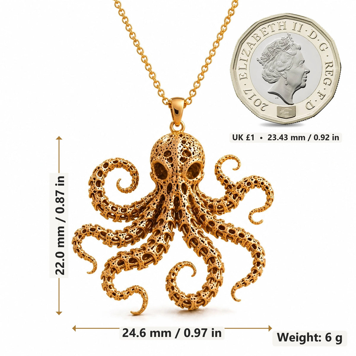 Fossil Octopus Spine pendant necklace size image showing 22.0 mm height, 24.6 mm width and 6 g weight