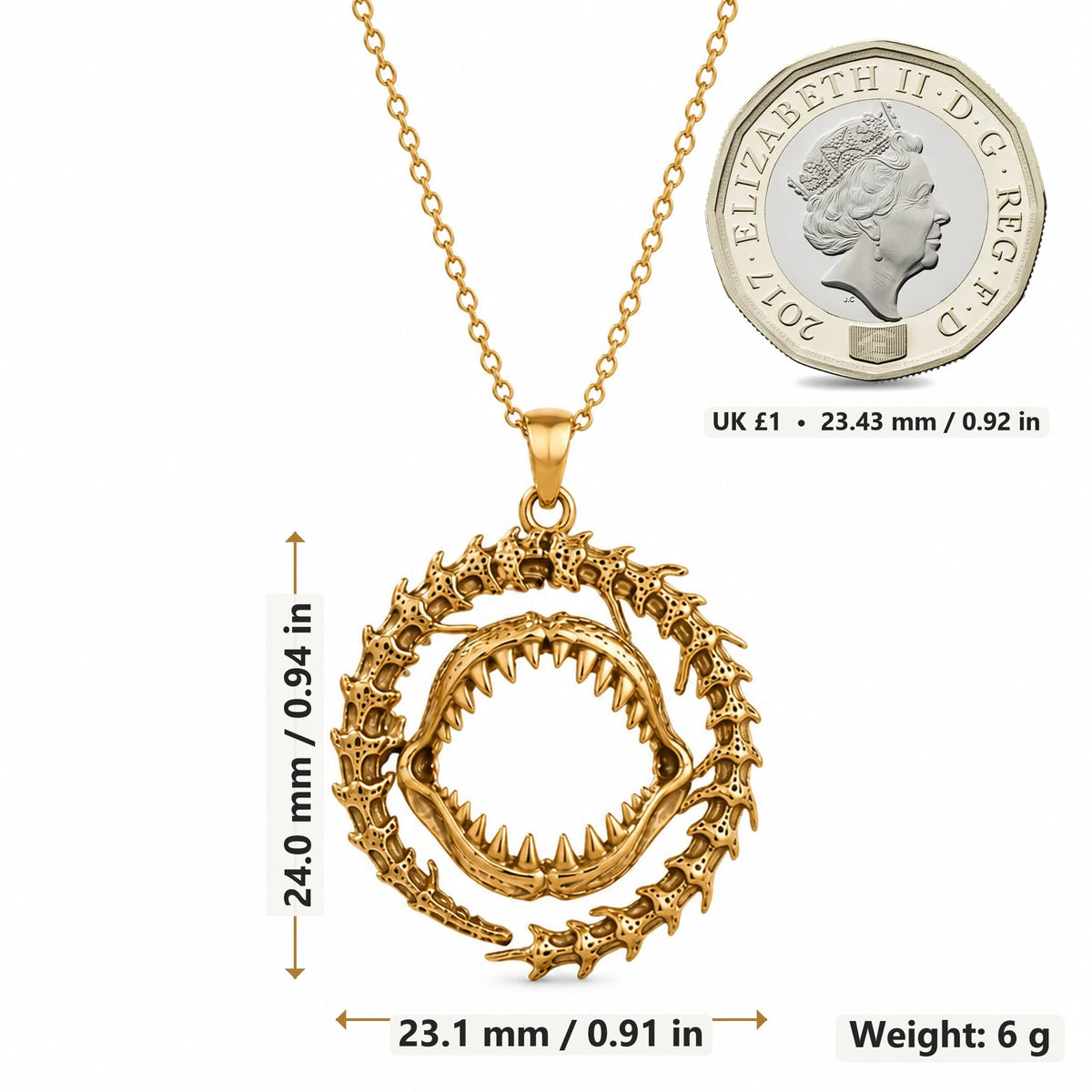 Ancient Shark Jaw pendant necklace size image showing 24.0 mm height, 23.1 mm width and 6 g weight