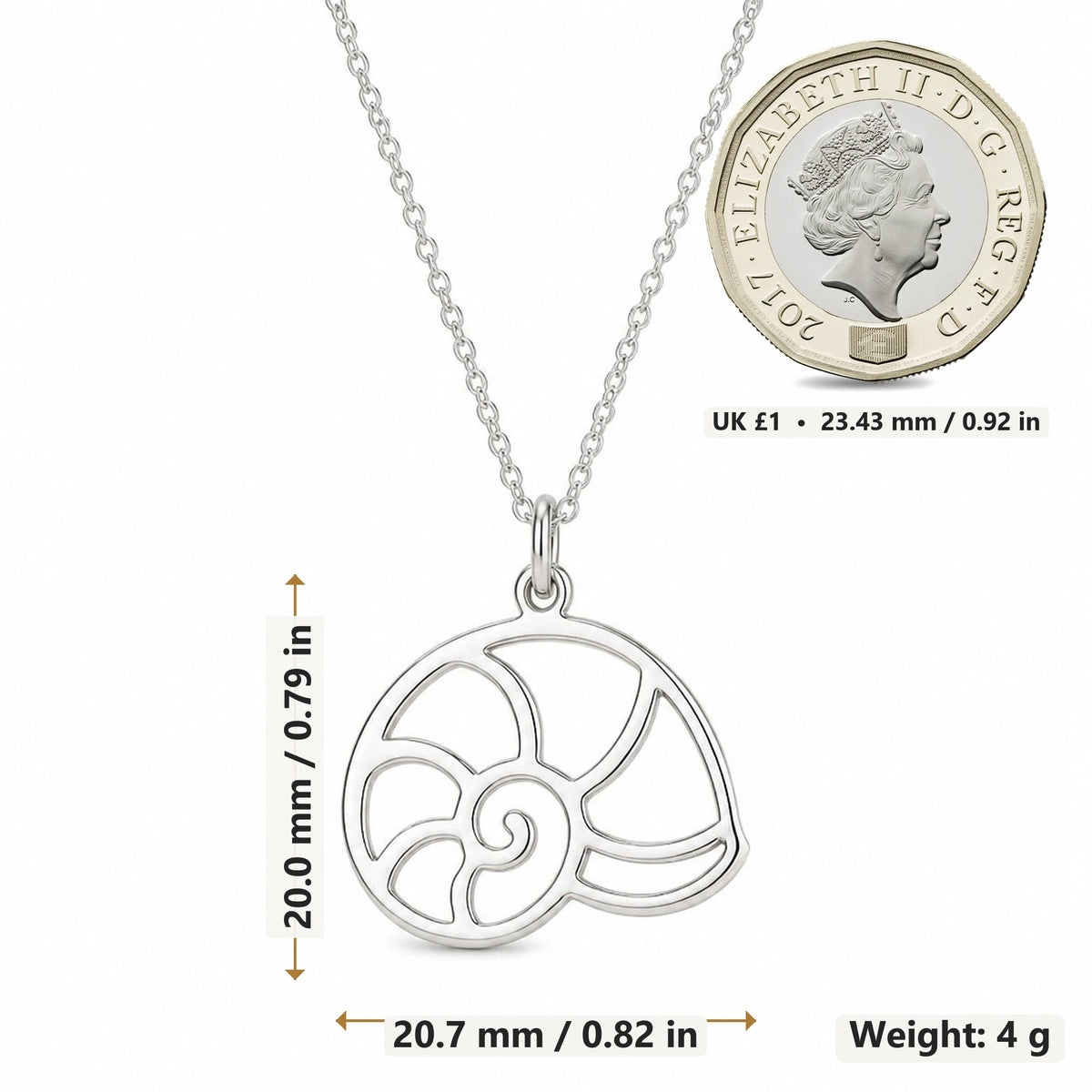 Nautilus Shell pendant necklace size image showing 20.0 mm height, 20.7 mm width and 4 g weight