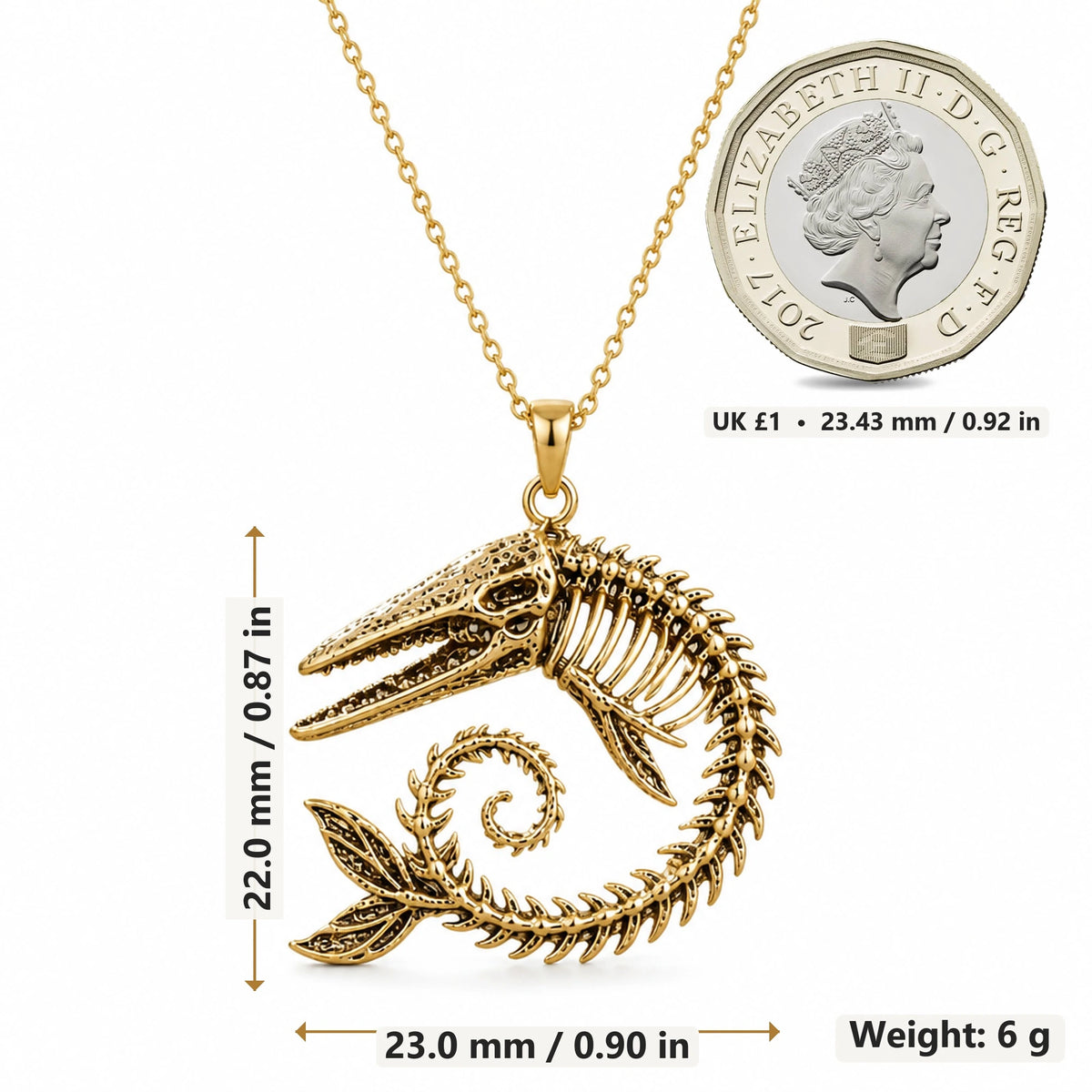 Ancient Whale Fossil Skeleton pendant necklace size image showing 22.0 mm height, 23.0 mm width and 6 g weight