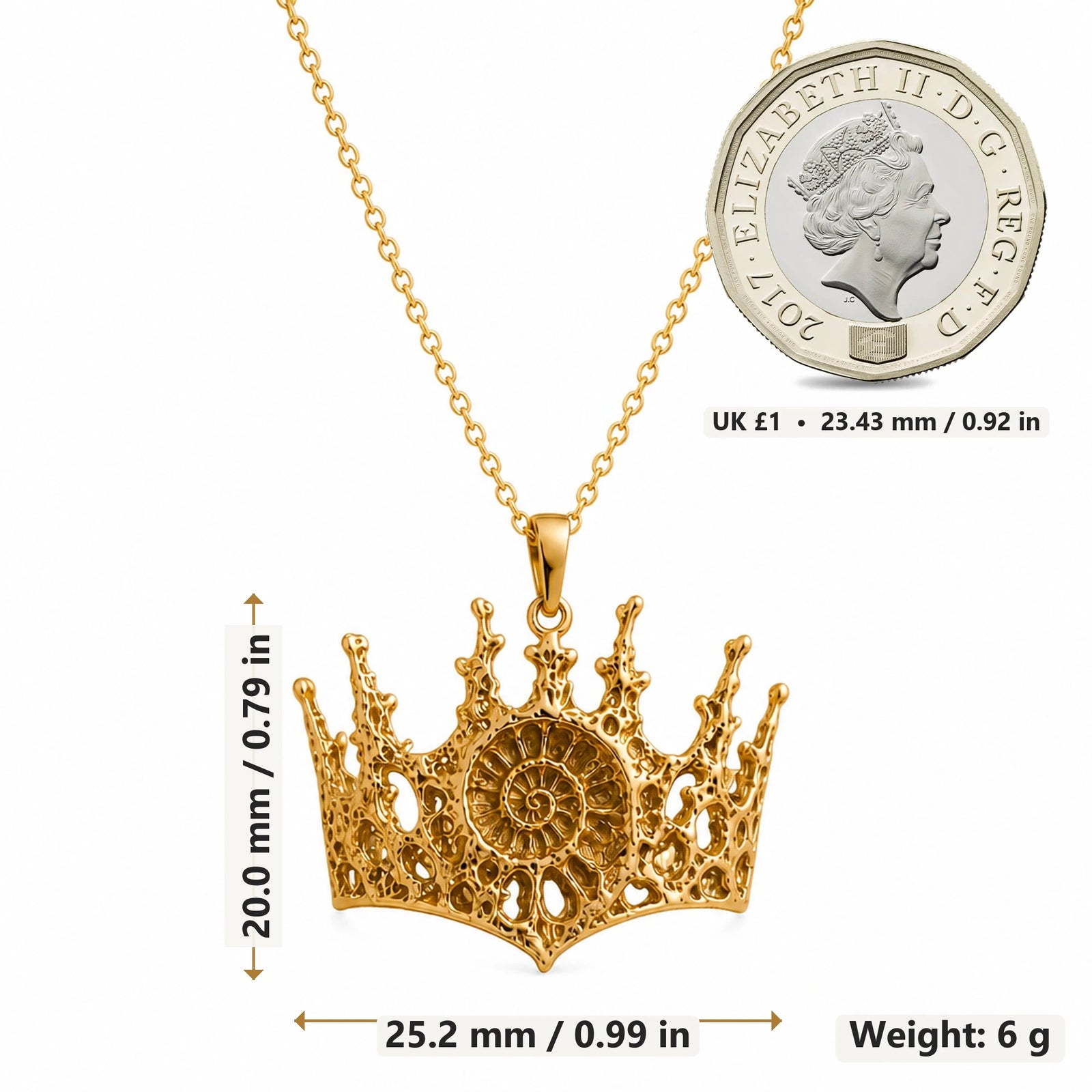 Fossil Crown Ammonite pendant necklace size image showing 20.0 mm height, 25.2 mm width and 6 g weight