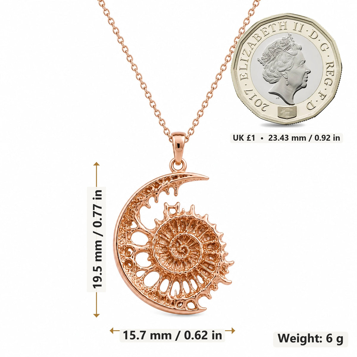 Lunar Fossil Ammonite Crescent pendant necklace size image showing 19.5 mm height, 15.7 mm width and 6 g weight