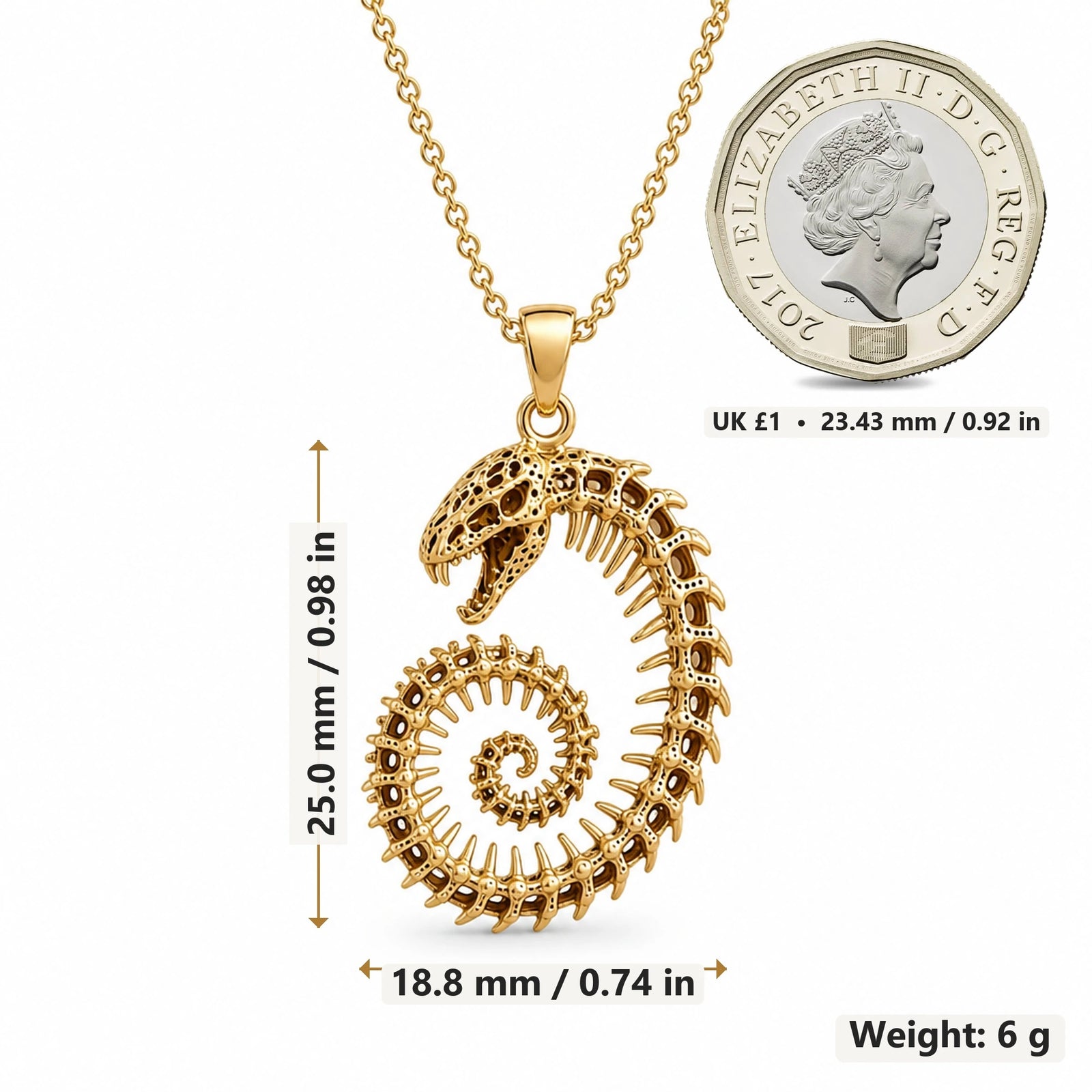 Fossil Cobra Skeleton Spiral pendant necklace size image showing 25.0 mm height, 18.8 mm width and 6 g weight