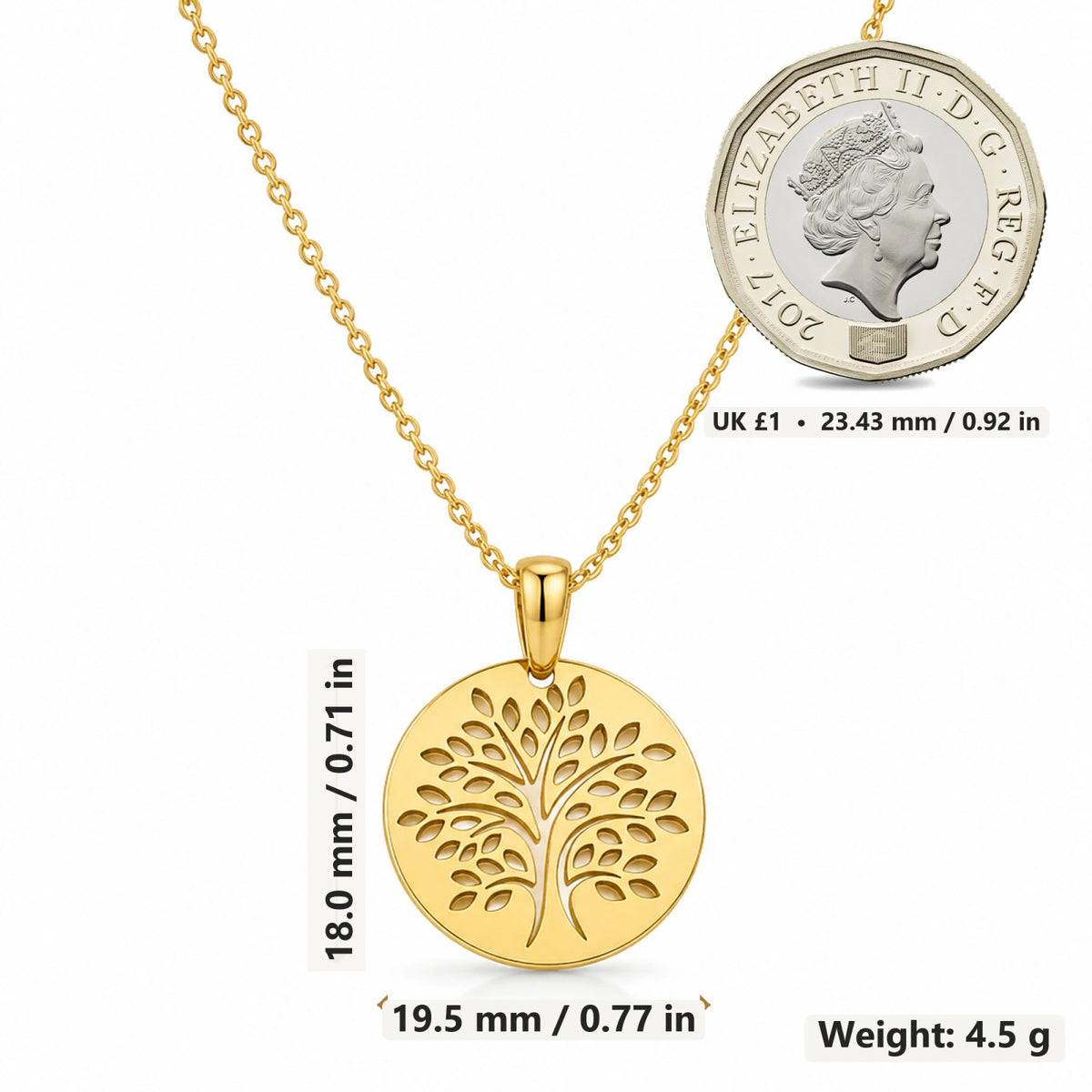 Tree of Life Disc pendant necklace size image showing 18 mm height and 19.5 mm width and 4.5 g weight
