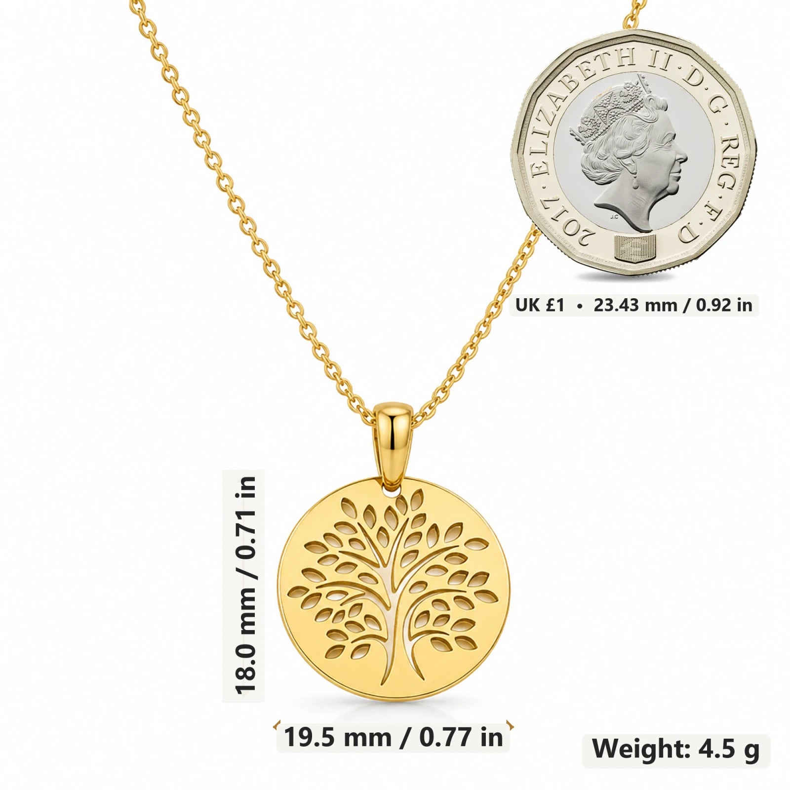 Tree of Life Disc pendant necklace size image showing 18 mm height and 19.5 mm width and 4.5 g weight