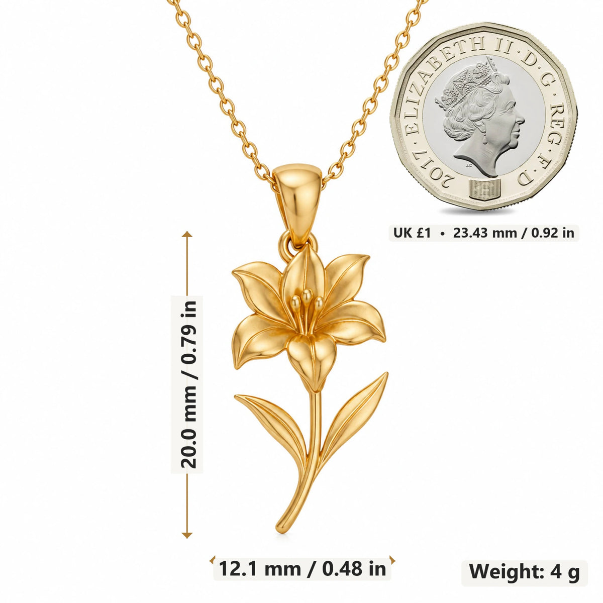 Amaryllis Bloom Flower pendant necklace size image showing 20 mm height and 12.1 mm width and 4 g weight