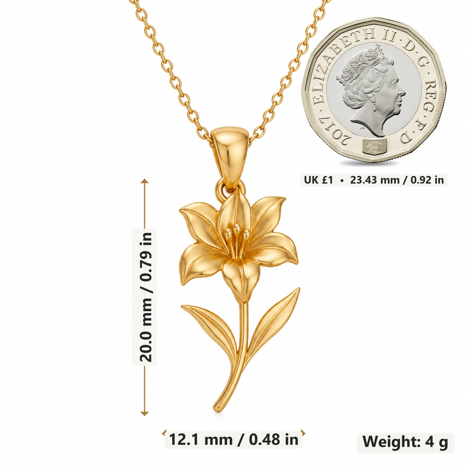 Amaryllis Bloom Flower pendant necklace size image showing 20 mm height and 12.1 mm width and 4 g weight