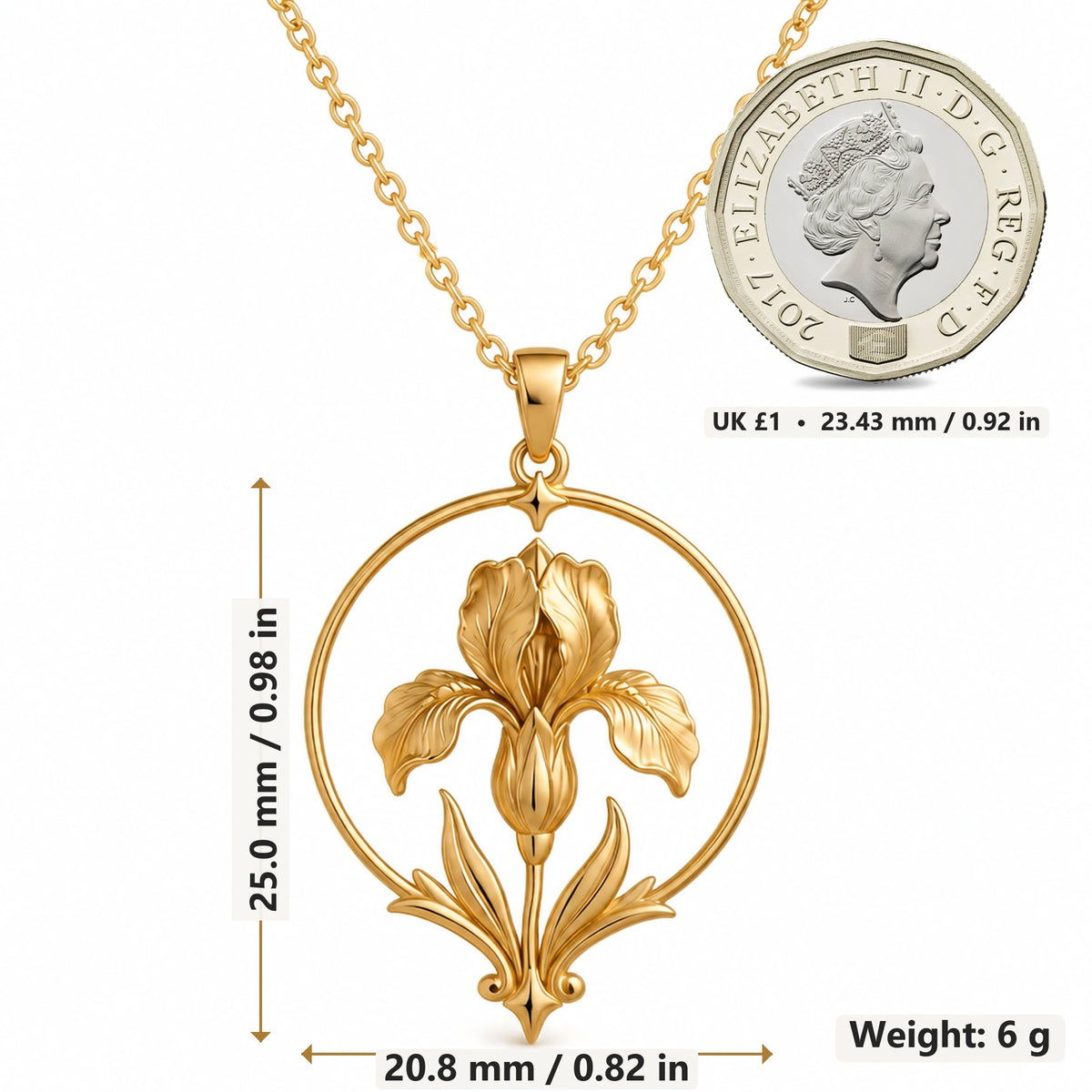Queen Iris Halo pendant necklace size image showing 25.0 mm height, 20.8 mm width and 6 g weight