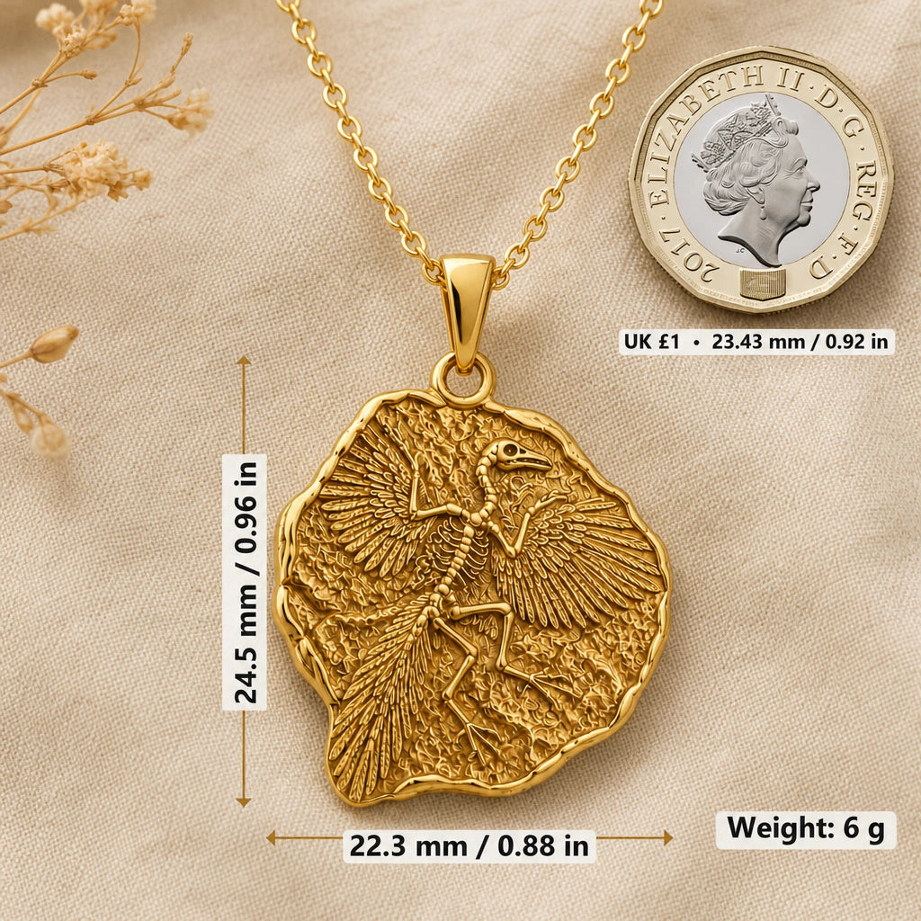 Archaeopteryx Fossil Pendant Necklace size guide, 24.5 by 22.3 mm