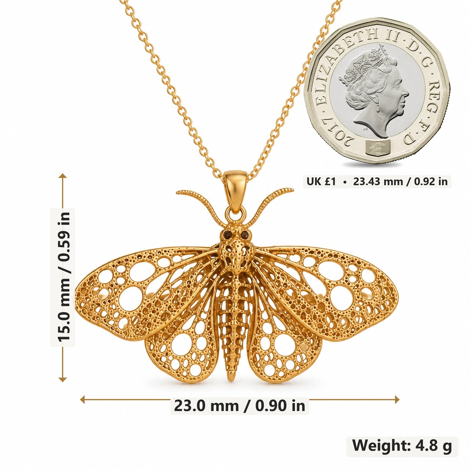 Fossil Moth Skeleton pendant necklace size image showing 15.0 mm height, 23.0 mm width and 4.8 g weight