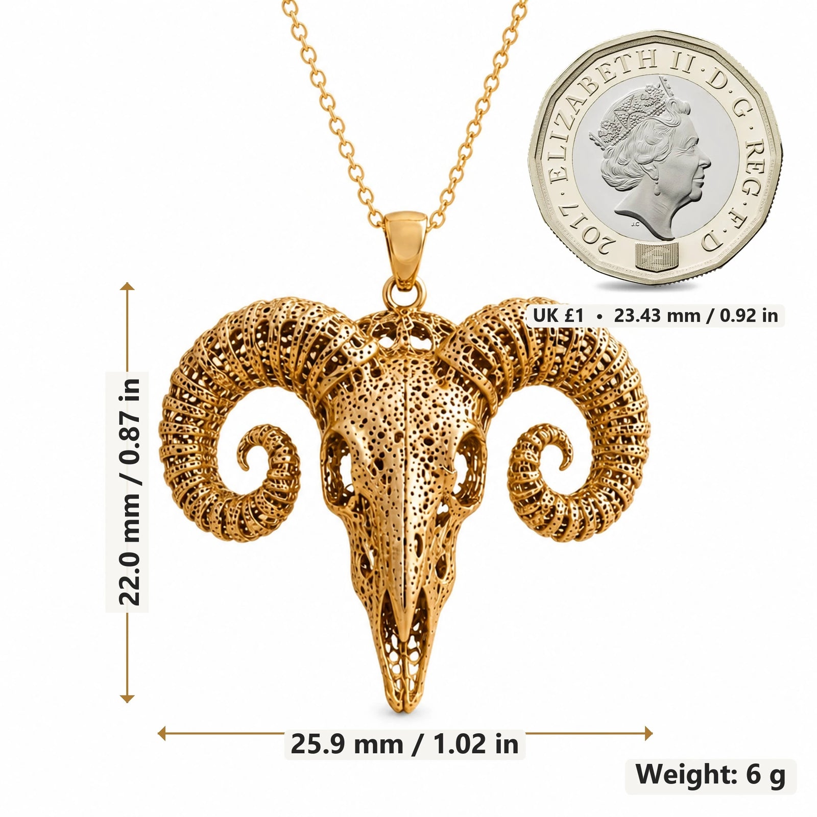 Ancient Ram Skull pendant necklace size image showing 22.0 mm height, 25.9 mm width and 6 g weight