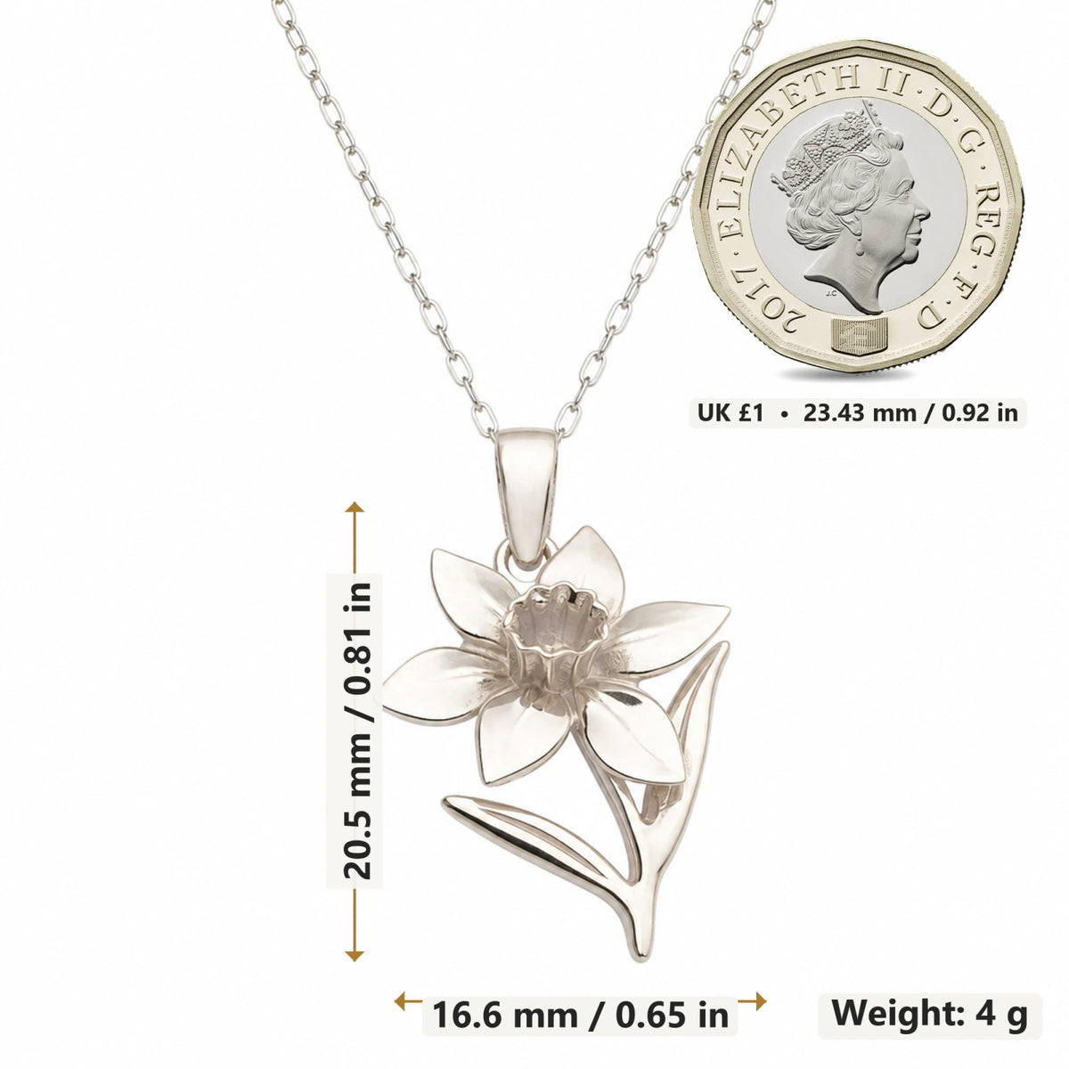Daffodil Narcissus Flower pendant necklace size image showing 20.5 mm height and 16.6 mm width and 4 g weight