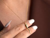 Italian Horn Necklace