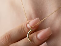 Moon Necklace in Sterling Silver